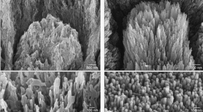 Новий гель, який відновлює зубну емаль: крок до революції в лікуванні карієсу 